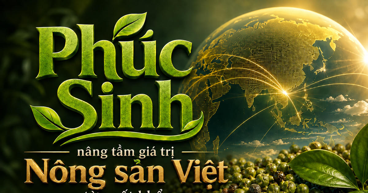 Phúc Sinh nâng tầm giá trị nông sản Việt từ xuất khẩu hồ tiêu