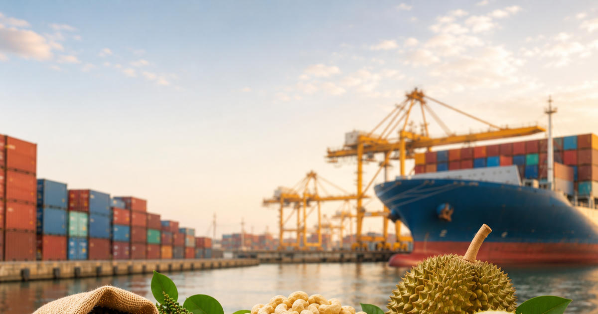 Xuất khẩu nông sản 19/8: Hồ tiêu sang Trung Quốc tăng hơn 200%, điều thu 2,9 tỷ USD