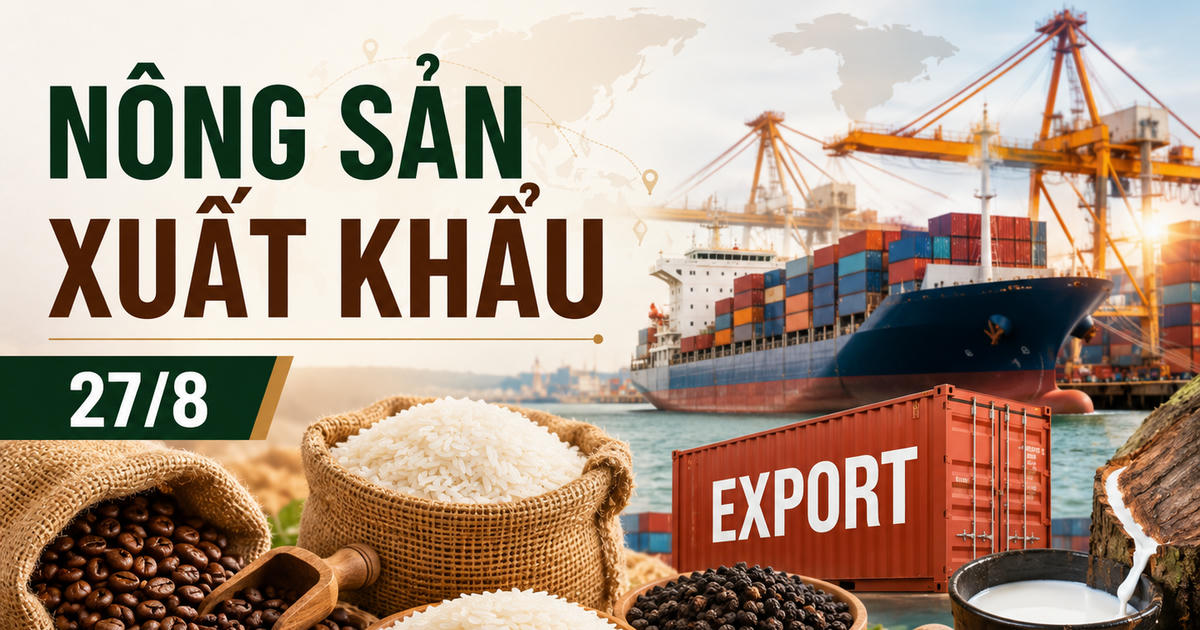 Nông sản xuất khẩu ngày 27/8: Arabica giảm gần 4%, gạo và hồ tiêu Việt Nam giữ giá