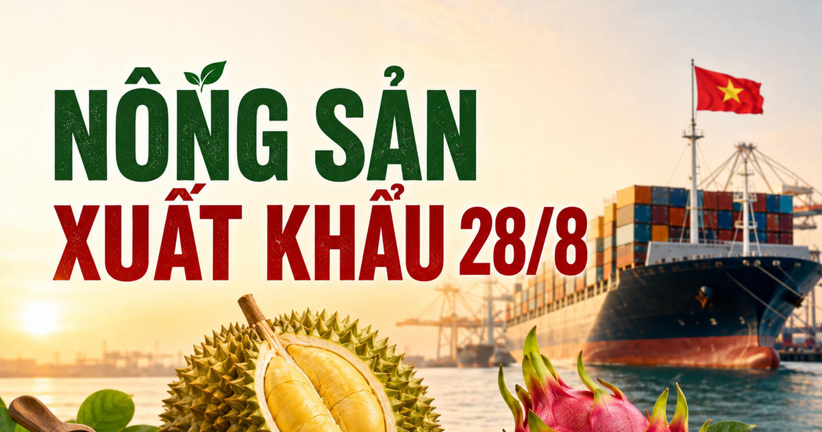 Nông sản xuất khẩu 28/8: Rau quả tăng 23,6%, hồ tiêu đạt 1,17 tỷ USD