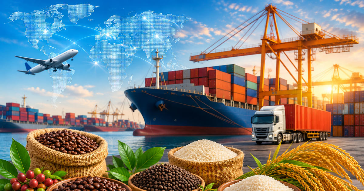 Nông sản xuất khẩu: Giá gạo phục hồi, hồ tiêu giữ đà tăng