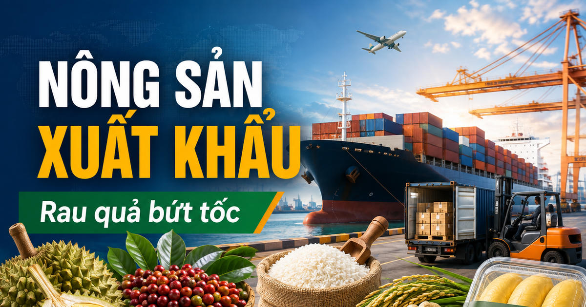 Nông sản xuất khẩu: Rau quả tiến sát 5,9 tỷ USD, cà phê vượt 6 tỷ USD