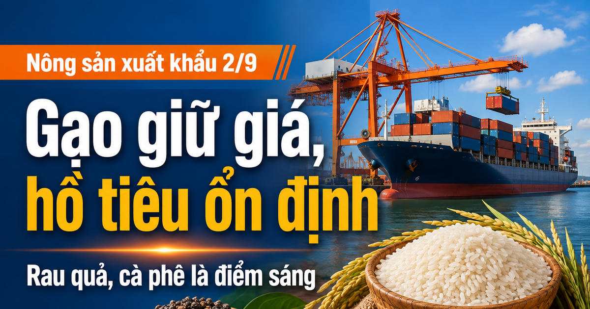 Giá gạo thơm giữ ổn định, tiêu đen Việt Nam quanh 6.000 USD/tấn