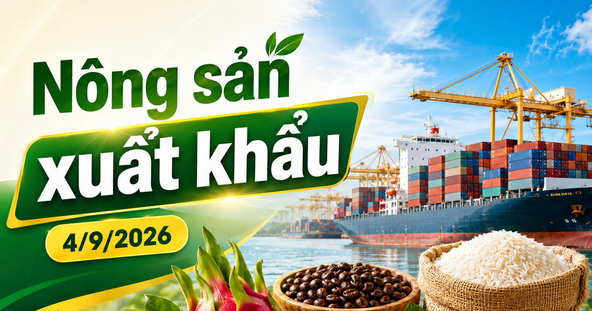 Nông sản xuất khẩu 4/9: Rau quả vượt cà phê, cán mốc 6,02 tỷ USD