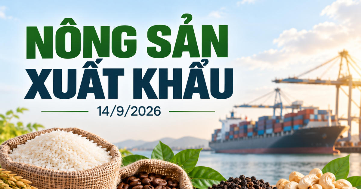 Giá tiêu giữ cao, gạo đi ngang, cà phê chờ phiên mới ngày 14/9