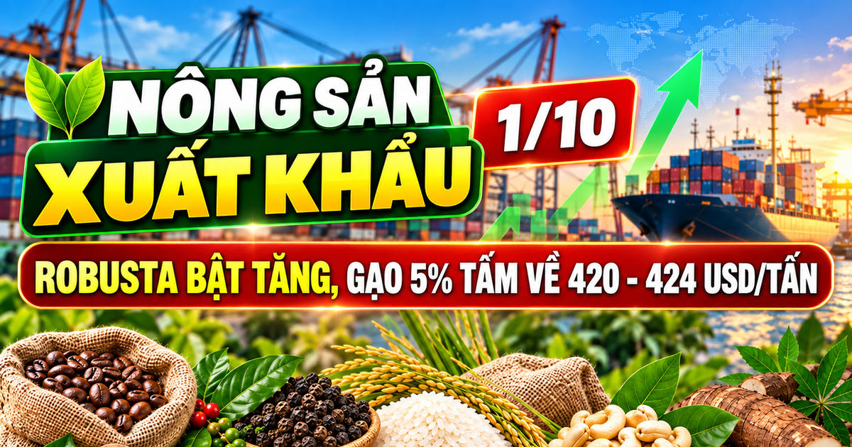 Nông sản xuất khẩu 1/10: Robusta bật tăng, gạo 5% tấm về 420 - 424 USD/tấn