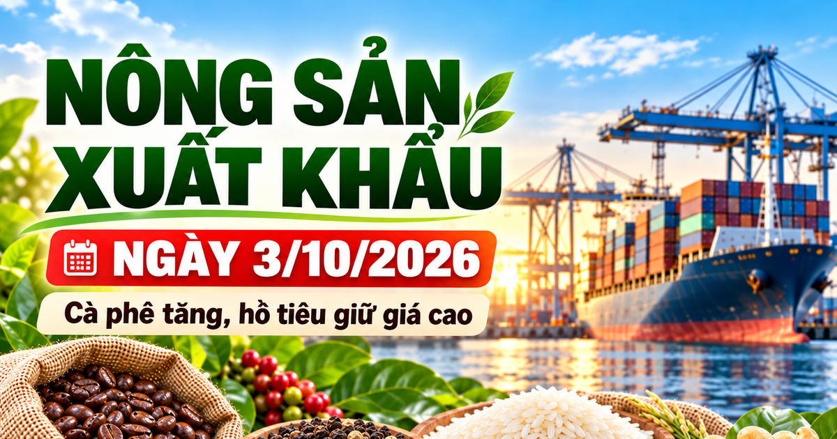 Nông sản xuất khẩu 3/10: Cà phê tăng trên sàn London, hồ tiêu giữ giá cao