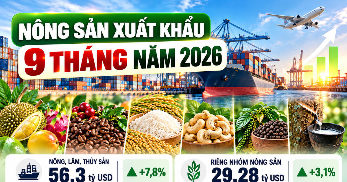 Nông sản xuất khẩu 9 tháng: Rau quả tăng gần 20%, cà phê và gạo giảm giá trị