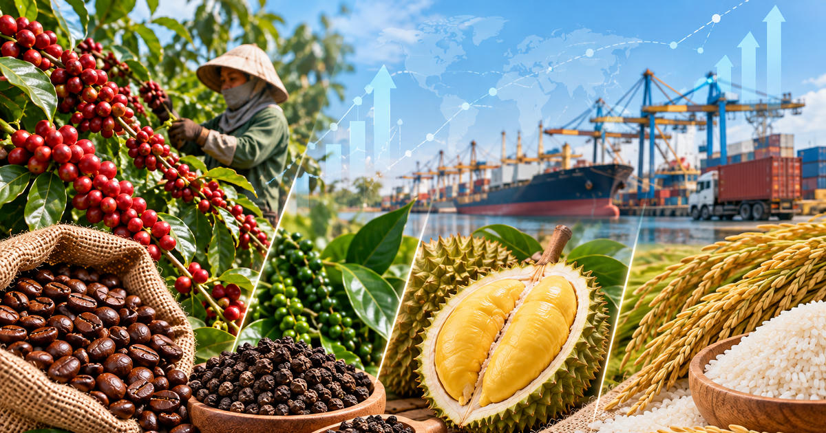 Sầu riêng tăng giá, cà phê hạ nhiệt sau 3 tuần biến động