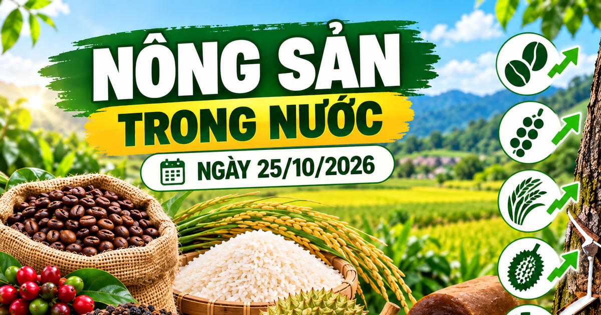 Nông sản trong nước ngày 25/10: Cà phê dưới 90.000 đồng/kg, sầu riêng giảm tại Đắk Lắk