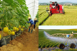 Điều kiện nào để xã được công nhận đạt chuẩn nông thôn mới, nông thôn mới hiện đại?