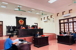 Ngân hàng kiện chủ hộ kinh doanh đòi nợ: Vụ án dân sự hay kinh doanh, thương mại?
