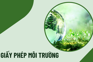 Doanh nghiệp có nhiều cơ sở được cấp giấy phép môi trường như thế nào?