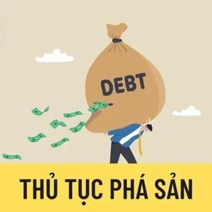 Xác minh điều kiện thi hành quyết định tuyên bố phá sản được thực hiện thế nào?