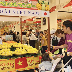 Kiều bào trở thành cầu nối tiêu thụ hàng Việt tại nước ngoài