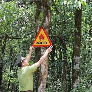 Cấm tuyệt đối các nguồn lửa trong khu vực rừng