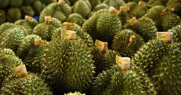 Sầu riêng Việt Nam được Trung Quốc duyệt thêm 401 vùng trồng