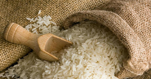 Xuất khẩu gạo 8 tháng đạt gần 2,91 tỷ USD, giá bắt đầu phục hồi