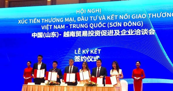 Xuất khẩu Việt Nam sang Sơn Đông tăng hơn 52%