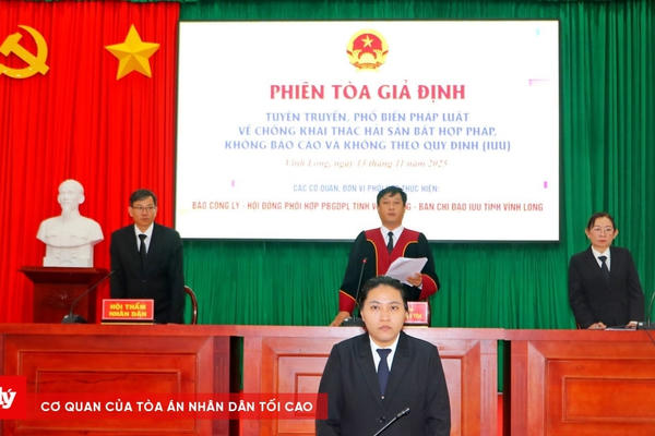 Chật kín người theo dõi phiên tòa giả định chống khai thác IUU tại vùng biển Bình Đại