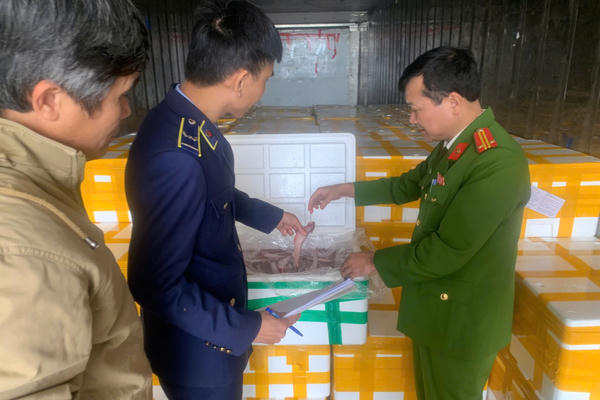 Thanh hóa: Phát hiện trên 10 tấn cá khoai chứa chất cấm trên đường đi tiêu thụ
