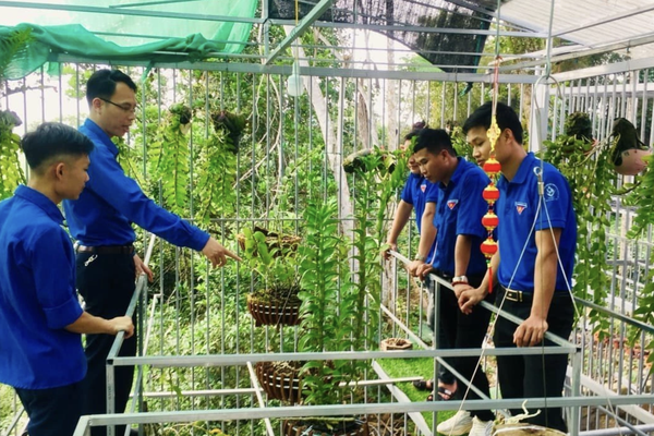 Hỗ trợ thanh niên nông thôn khởi nghiệp công nghệ cao