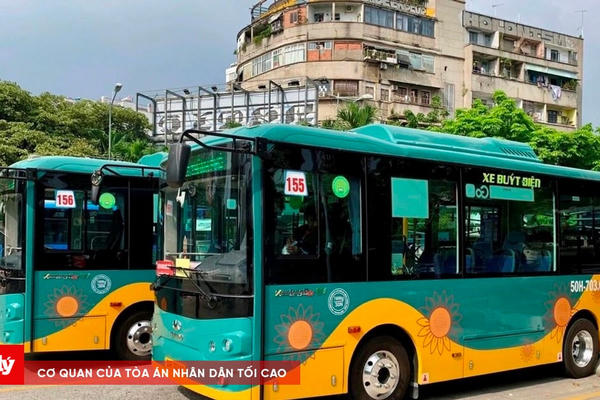 TP.HCM: Mở rộng đấu thầu xe buýt, tiết kiệm hơn 216 tỷ đồng ngân sách