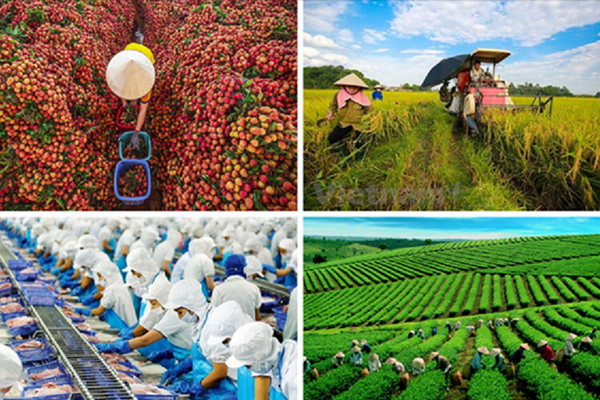 Nông nghiệp tiếp tục là trụ đỡ, nhưng phải số hóa, hiện đại hóa