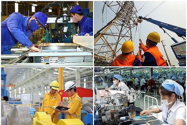 Nghị quyết 79:  Xây dựng doanh nghiệp nhà nước dẫn dắt các ngành then chốt