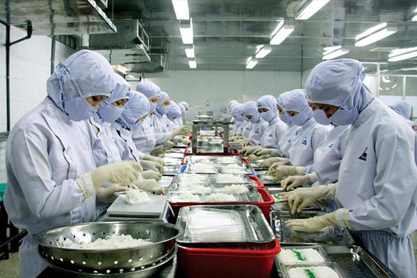 Chả cá và surimi của Việt Nam được ưa chuộng tại nhiều thị trường lớn trên thế giới