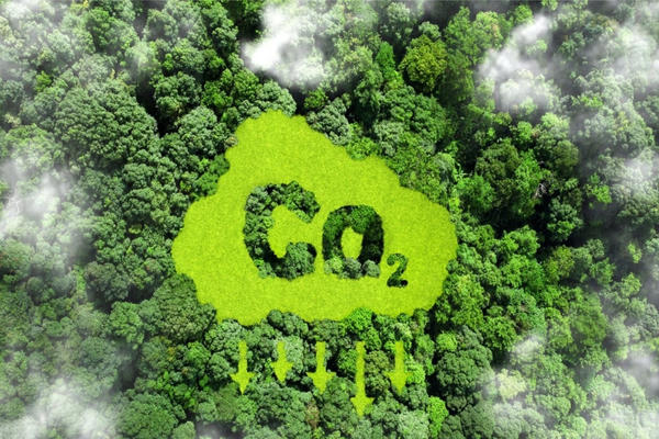 Ngân hàng thanh toán cho các giao dịch tín chỉ các-bon cần đáp ứng điều kiện nào?