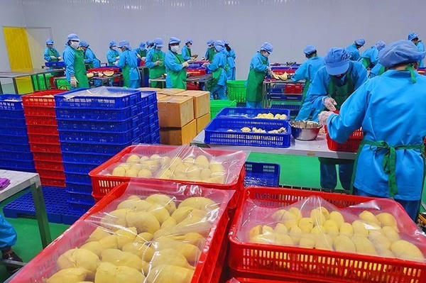 6 nhóm giải pháp trọng tâm thúc đẩy xuất khẩu năm 2026