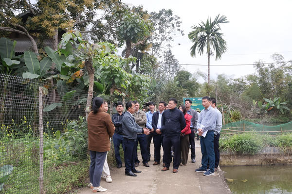 Hỗ trợ thức ăn thủy sản các hộ gia đình tham gia dự án nuôi cá rô phi ở Lào Cai