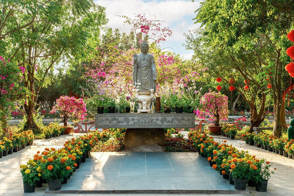 Theo dấu “Bàn Tay Phật”, du xuân An Hảo