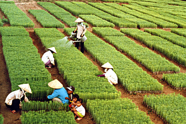 Nông nghiệp Việt Nam bứt tốc, hướng tới mục tiêu 74 tỷ USD