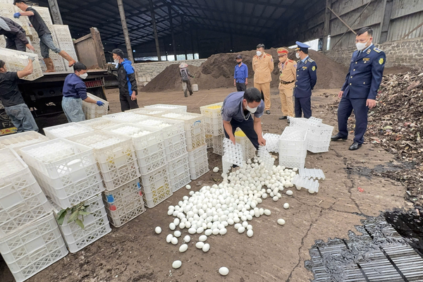 Tiêu hủy gần 29.000 quả trứng vịt lộn không rõ nguồn gốc trong dịp Tết