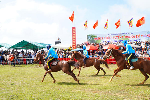 Sôi động hội đua ngựa gò Thì Thùng đầu Xuân Bính Ngọ 2026