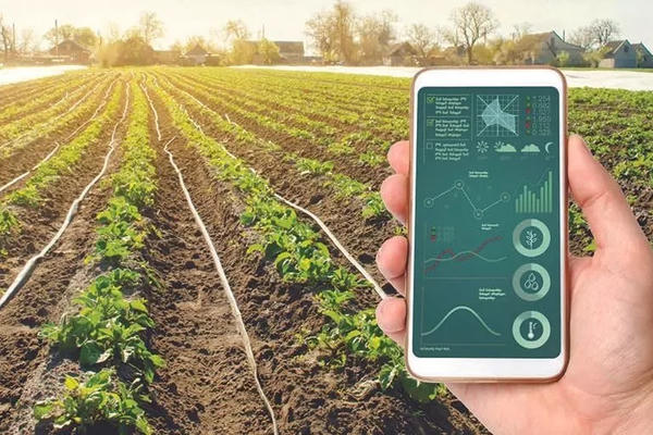 Đẩy mạnh hỗ trợ hợp tác xã tiếp cận nền tảng số và ứng dụng công nghệ mới