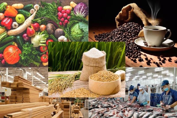 Xuất khẩu nông lâm thủy sản 2 tháng đầu năm đạt hơn 11 tỷ USD 