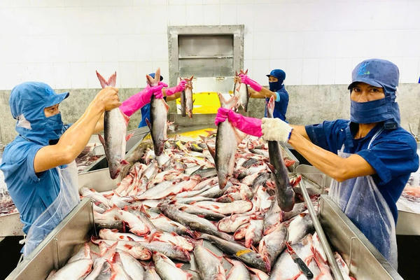 Xuất khẩu nông, lâm, thủy sản đạt 11,3 tỷ USD qua 2 tháng đầu năm 2026