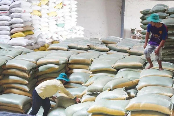 8 nhiệm vụ triển khai thi hành Luật Dự trữ quốc gia