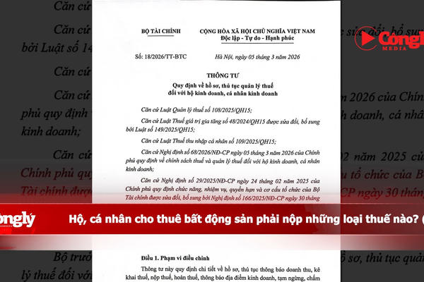 Hộ, cá nhân cho thuê bất động sản phải nộp những loại thuế nào? (P1)