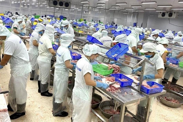  Thị trường tuyển dụng tại Việt Nam thuộc nhóm cao nhất thế giới