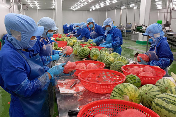 Lệnh 280 của Trung Quốc: Siết quản lý doanh nghiệp xuất khẩu thực phẩm