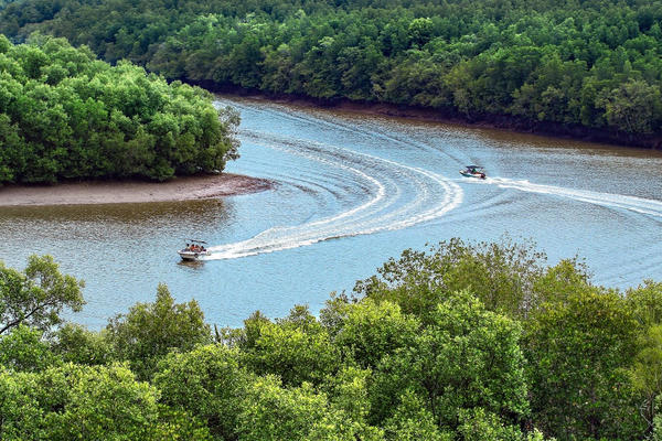 Cần Giờ phát triển tour xuyên rừng ngập mặn, đặt mục tiêu 500.000 lượt khách