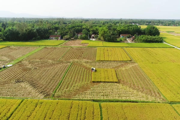 Quy định mới về hồ sơ miễn, giảm tiền thuê đất từ năm 2026