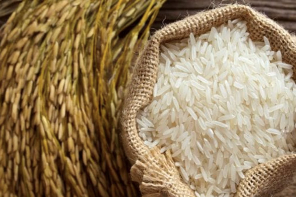 Philippines tăng mạnh nhập khẩu gạo, Việt Nam tiếp tục giữ thị phần áp đảo