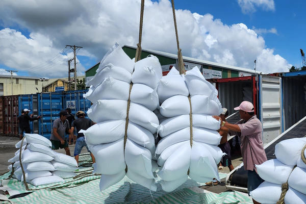 Khơi thông nguồn lực đưa hạt gạo Việt Nam vươn tầm thế giới