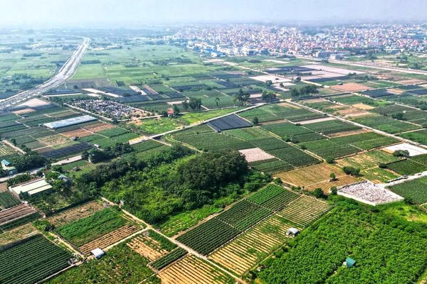 Hưng Yên sắp mở đợt đấu giá 130 lô đất, giá khởi điểm từ 12 triệu đồng/m2