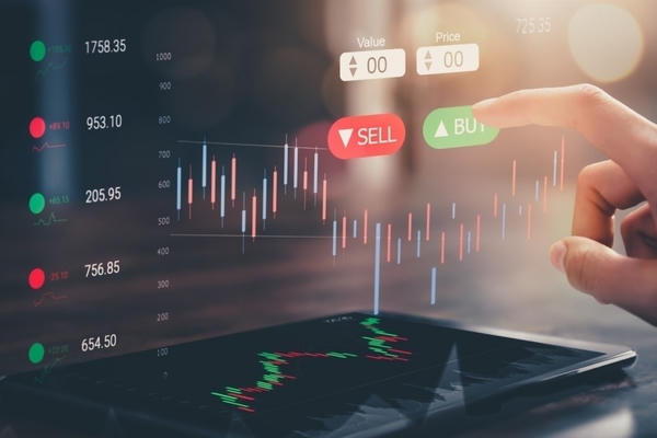 Big Group Holdings tăng vốn lên hơn 310 tỷ đồng sau đợt chào bán cổ phiếu